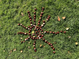 DER HERBST IST DA